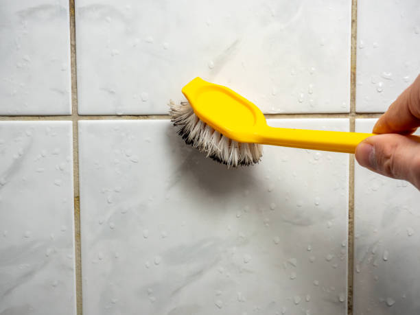 Best Certified Mold Removal  in Westminster, SC