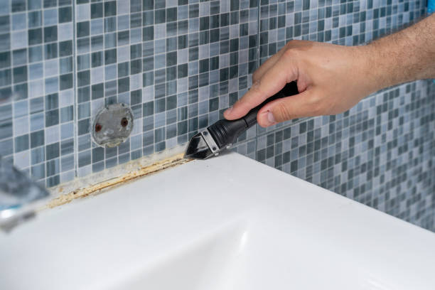 Best Mold Remediation  in Westminster, SC